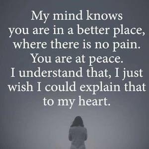 Meet your Posher, Loretta r.